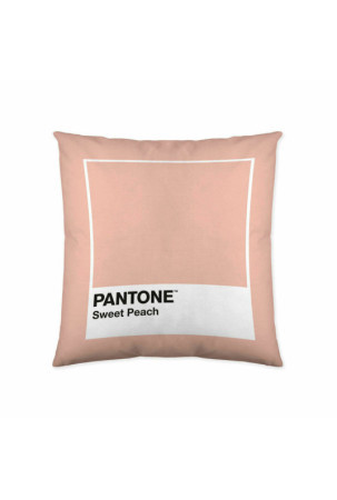 Pagalvėlės užvalkalas Sweet Peach Pantone 50 x 50 cm