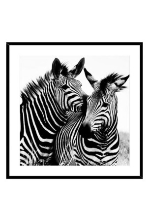 Paveikslas Zebra Stiklas (2 x 50 x 50 cm)