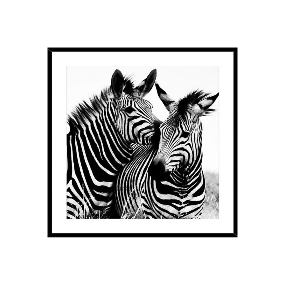 Paveikslas Zebra Stiklas (2 x 50 x 50 cm)