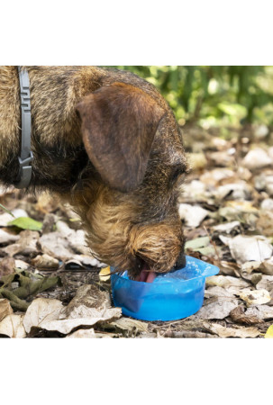 Du viename butelis su vandens ir maisto skyriais gyvūnams Pettap InnovaGoods