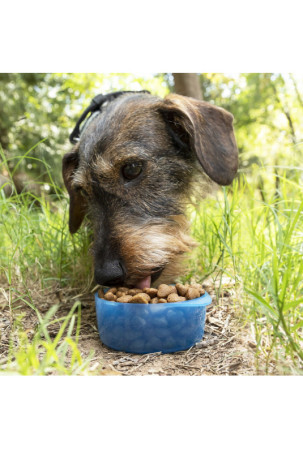 Du viename butelis su vandens ir maisto skyriais gyvūnams Pettap InnovaGoods