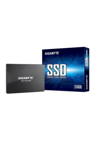 Kietasis diskas Gigabyte GP-GSTFS31256GTND 256 GB SSD