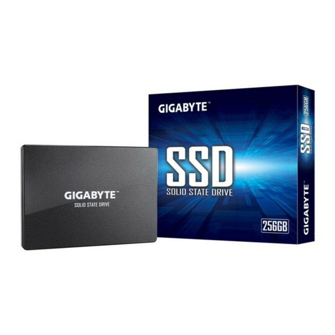 Kietasis diskas Gigabyte GP-GSTFS31256GTND 256 GB SSD