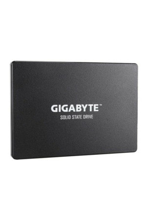 Kietasis diskas Gigabyte GP-GSTFS31256GTND 256 GB SSD