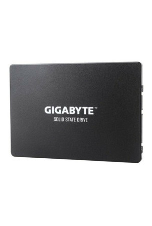 Kietasis diskas Gigabyte GP-GSTFS31256GTND 256 GB SSD