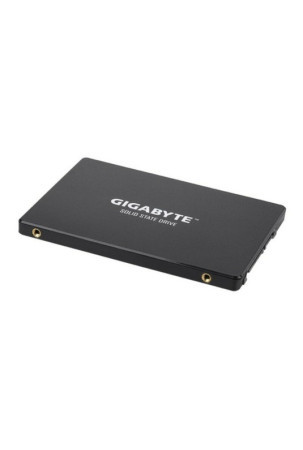 Kietasis diskas Gigabyte GP-GSTFS31256GTND 256 GB SSD