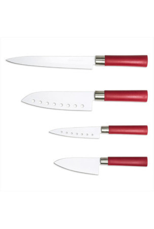 Peilių rinkinys Cecotec Santoku (4 pcs)