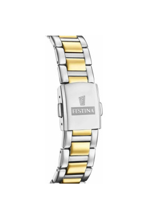 Laikrodis vyrams Festina F20659/2