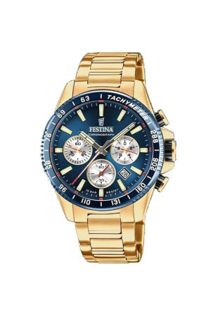 Laikrodis vyrams Festina F20634/2