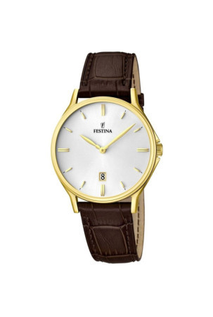 Laikrodis vyrams Festina F16747/1