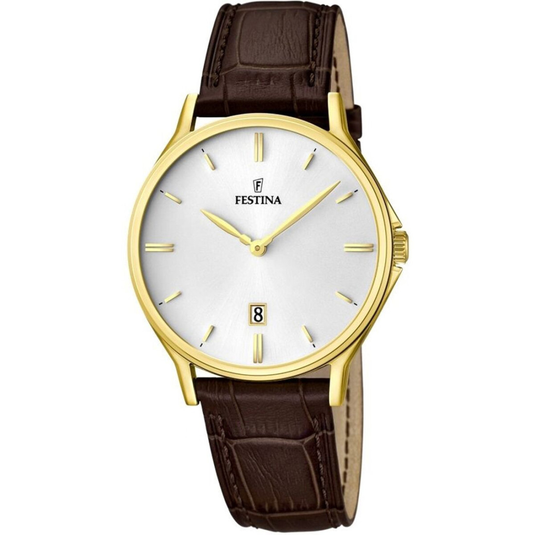 Laikrodis vyrams Festina F16747/1