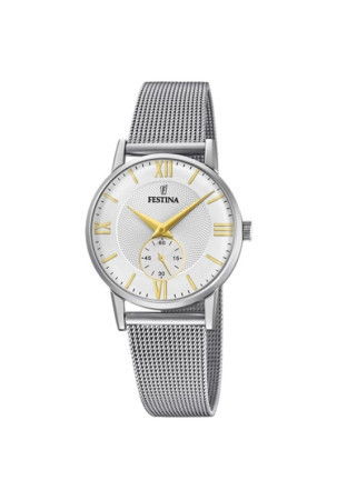 Laikrodis vyrams Festina F20572/2 Sidabras