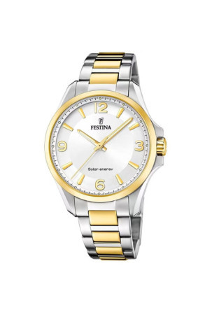 Laikrodis vyrams Festina F20657/1