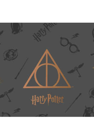 Lovatiesė (antklodė) Harry Potter Deathly Hallows Spalvotas 280 x 270 cm Lova 180 cm