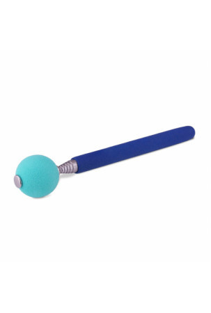 Training toy Coachi Stick Mėlyna