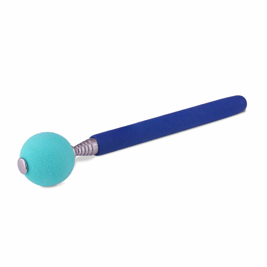 Training toy Coachi Stick Mėlyna