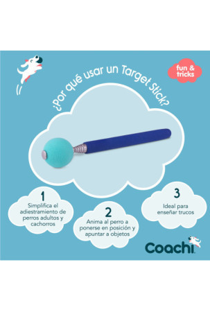 Training toy Coachi Stick Mėlyna