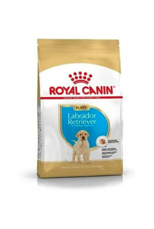 Pašarai Royal Canin Vaikas / jaunėlis 3 Kg