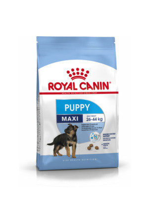 Pašarai Royal Canin Maxi Puppy Vaikas / jaunėlis Paukščiai 4 Kg