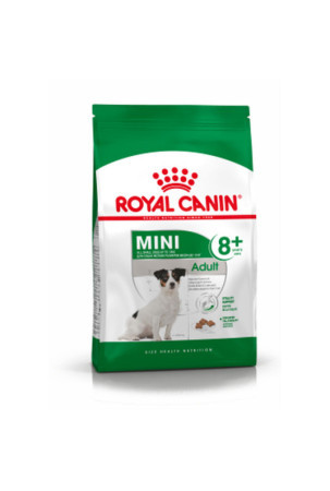 Pašarai Royal Canin Mini Adult 8+ Suaugęs Kukurūzai 2 Kg