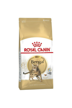 Kačių maistas Royal Canin Bengal Adult Suaugęs Daržovė Paukščiai 2 Kg