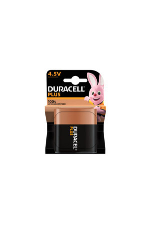 Šarminė baterija DURACELL PLUS K1