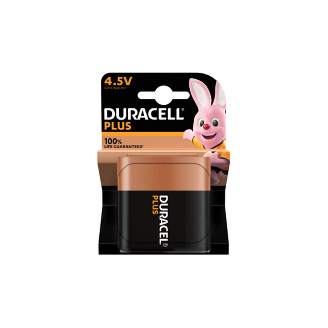 Šarminė baterija DURACELL PLUS K1