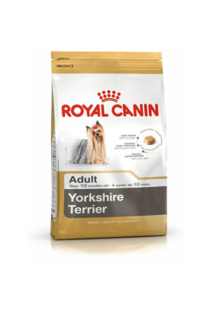 Pašarai Royal Canin Yorkshire Terrier Suaugęs 500 g