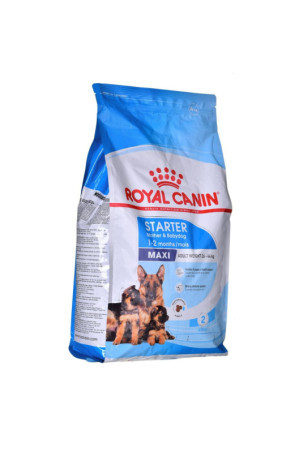 Pašarai Royal Canin Maxi Starter Mother & Babydo Paukščiai 4 Kg