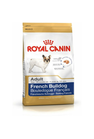 Pašarai Royal Canin French Bulldog Adult Suaugęs Višta 1,5 Kg