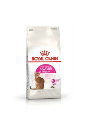 Kačių maistas Royal Canin Feline Savour Exigent 4kg Suaugęs 4 Kg