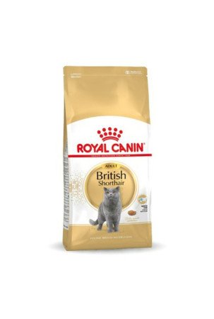 Kačių maistas Royal Canin British Shorthair Adult Suaugęs 4 Kg