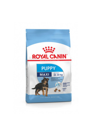 Pašarai Royal Canin Maxi Puppy 15 kg Vaikas / jaunėlis Daržovė