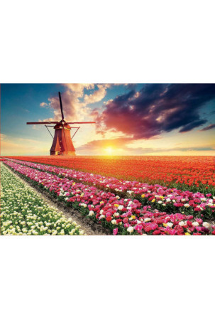 Dėlionė Educa Fields of Tulips 18465 1500 Dalys