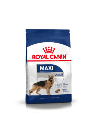 Pašarai Royal Canin Maxi Adult 15 kg Suaugęs