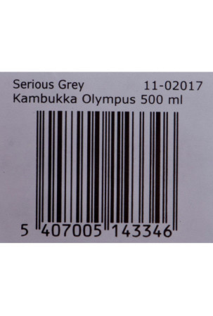 Termo Puodelis Kambukka Olympus Nerūdijantis plienas 500 ml