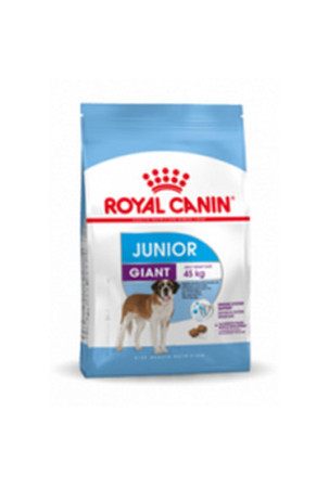 Pašarai Royal Canin Giant Junior 15 kg Vaikas / jaunėlis