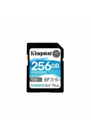 SD atminties kortelė Kingston SDG3/256GB