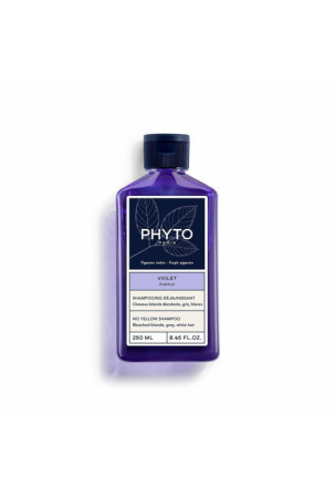 Formuojamasis kremas Phyto Paris Violet 250 ml