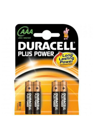 Baterijos DURACELL 1,5 V (10 vnt.)