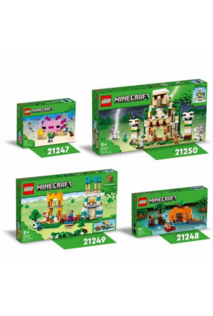 Playset Lego 21249 Super Mario