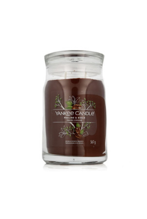 Aromatizuota žvakė Yankee Candle Praline & Birch 567 g