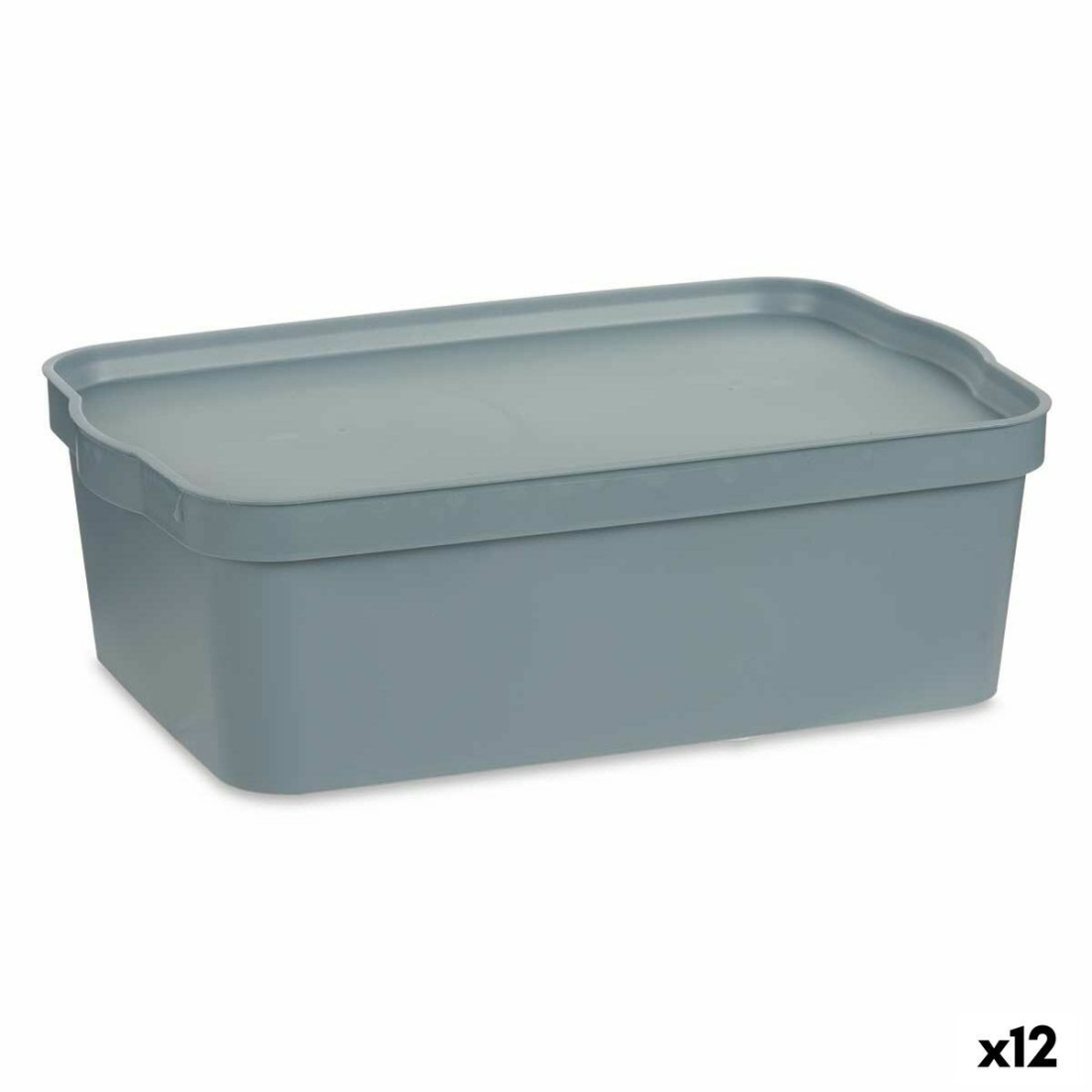 Sandėliavimo dėžutė su dangteliu Pilka Plastmasinis 14 L 29,5 x 14,3 x 45 cm (12 vnt.)