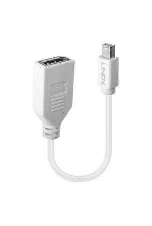 Adapteris iš Mini Display prievado į DisplayPort LINDY 41021 Balta