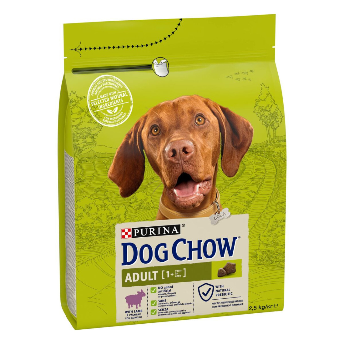 Pašarai Purina Dog Chow Suaugęs Avis 2,5 kg