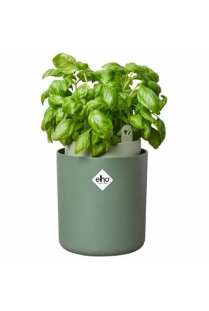 Stiklainis Elho Bouncy Basil Apskritas Žalia Plastmasinis Ø 16 cm