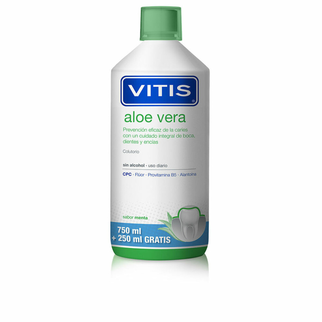 Burnos plovimas Vitis Aloe Vera Alijošius 1 L