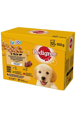 Šlapias maistas Pedigree unior Selection Višta Veršiena Avis Paukščiai 100 g 12 x 100 g