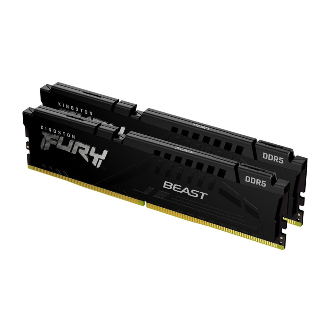 RAM atmintis Kingston Beast DDR5 64 GB