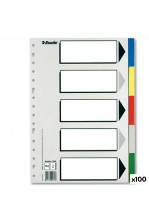 Separatoriai Esselte 5 lapai Spalvotas Din A4 (100 vnt.)